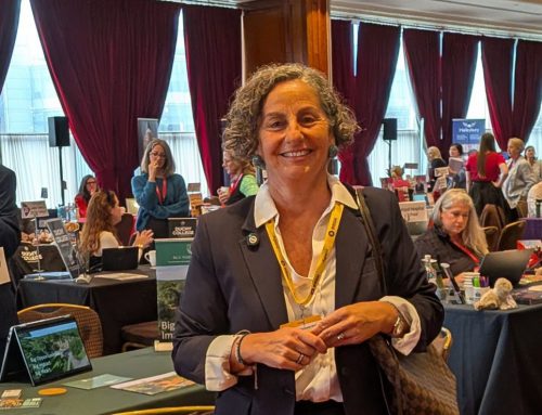 Feria Educativa Internacional BBSW2025