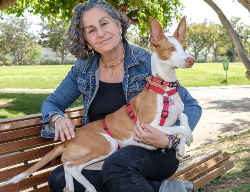 La Educación y las Leyes