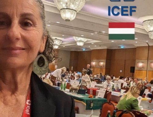 ICEF Budapest: ¡Allá vamos!